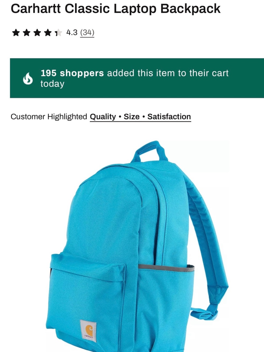 Carhartt Turquoise Backpack. FULL SIZE